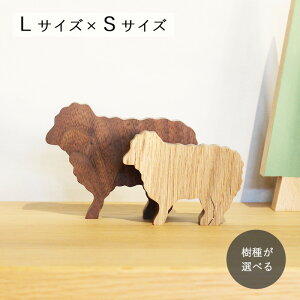 Ђ IuWF LTCY×STCYZbg