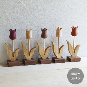 �`���[���b�v �I�u�W�F �S5��ށ@