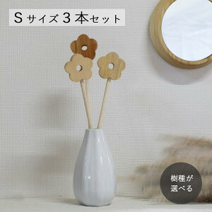 t[ sbN STCY3{Zbg ԁyԌZ[z