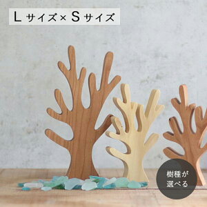 TS X IuWF LTCY×STCYZbg S4