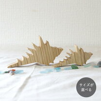 楽天市場】貝殻 オブジェの通販