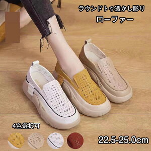 pvX EhgD胍[t@[[fBXV[Y JWAV[Y fB[X RȂ Xj[J[ fB[X Xb| bV  Xj[J[ i[XV[Y O