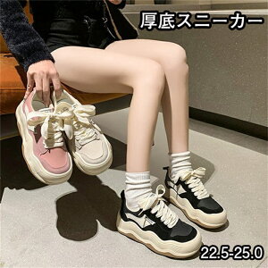 Xb| Xj[J[ fB[X i[XV[Y EH[LOV[Y JWAV[Y X|[cV[Y fbLV[Y L 傫TCY ^C ʋC 5cmgAbv