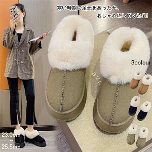 ySSZ[50offz[gu[c V[g fB[X t@[t N  g ۉ h  tFCN[g t H ~ 23.0~25.5