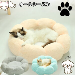 V ybgpxbh Ԍ^fUC ی^ Lxbh  I[V[YΉ ӂӂѕzf 􂦂 ^~^p Lp Ԍ^ybgpi 􂦂ybgxbh n nEX lRx