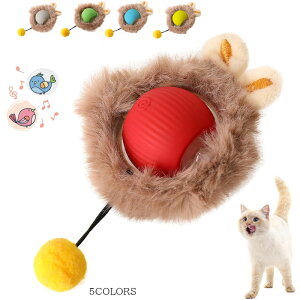 L   L {[ L 3[h\ Type-C[d  XgX ˂ ^s lR  ybg L̂ L lVт lR 