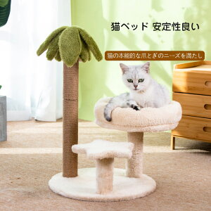 V Lbg^[ Ⴂ  X RpNg Z ~j ȃXy[X L^[ VRR ܂Ƃ Lxbh 萫ǂ  I lC  CeA Vv 킢