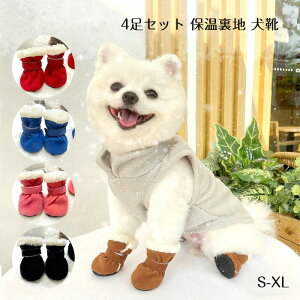 pC ̌C ₷ ~ Up hbOV[Y ^ h N ybgV[Y hbO u[c ^̌C h y y   pu[c ybgpi  h~ PK