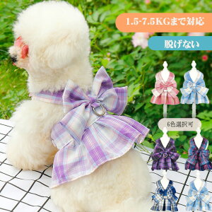 V Lp n[lX [hZbg Lpi JK s[X   ^ ʋC Ȃ o Upi Eh~  킢 sN p[v lCr[ u[ 6F