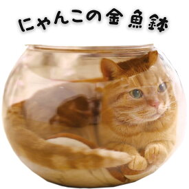 新作 にゃんこの金魚鉢 猫 春夏 ペット用 猫小屋 休憩 ペット休憩対応 かわいい 面白い プレゼント 誕生日 安全 プラスチック