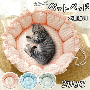 L xbh ybgxbh nbN L  Lp ybgNbV 2TCY   Ђ ӂӂ 薰 􂦂 Q ی^ ʋC ܂肽  ˊO