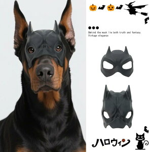 ʔ ̃}XN obg RE L RX`[ RXvߑ ʐ^ Be ϐgObY nEB[