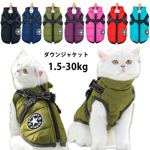 yԌEN[|p10%OFFz L _EWPbg p ybg̕    ̕ ȓ̃`bL  nT ybgEGA 킢  hbOEF