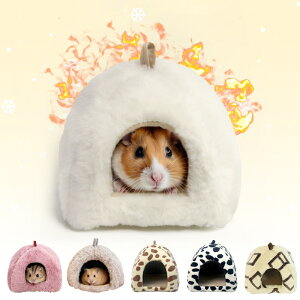 nX^[ nEX ~nEX ӂӂ ybgnEX h[^Q ETM bg `` @\ Q Vя  O\ȕۉnEX g|Pbg ΍ ybgpi