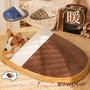 V ybgxbh pxbh L ~ fB[vX[v O Xbp` ۉ \ ^ybgxbh ΍ pxbh q̃\t@xbh lG􂦂 Lp