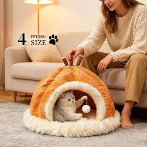 V L xbh  pxbh ~ fB[vX[v ۉ g ͎ ^ybgxbh ΍ pxbh eg NbV  q̃\t@xbh lG􂦂 Lp