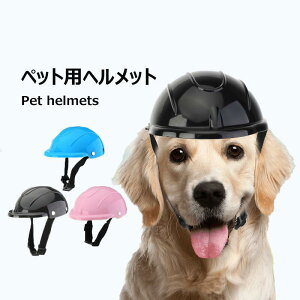 ybgpSwbg p oCNԑΉ wbhMA ybgANZT[ XN[^[\ Be