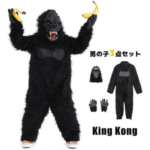 V nEB j̎q  q `pW[ A z[f敗 X[  3_Zbg  Aj}    v[g nEB p[eB[ S-XL 4`16