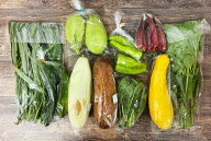 【無肥料・自然栽培】旬のお野菜・果物のお任せセット（Mセット）玉ねぎ、ジャガイモ、ミニトマト、ニン…