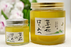 yMERsgpzaE̊nIwԂ݂̂͂x600g