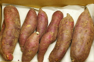 _E엿ō͔|Tc}C 3kg RȊÂ 傫s@I[KjbNL@͔|𒴂鎩R͔|