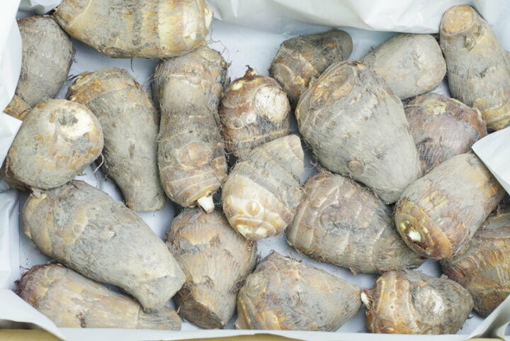 楽天市場 無農薬 無肥料 不耕起で栽培する里芋3kg オーガニック 大きめ 無肥料 自然栽培野菜宅配のハート