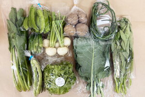 y엿ER͔|z{̂؁Eʕ̂CZbgiMZbgjʂ˂AWKCAイAlQAc؁AINAcTLAɂɂAs[}AhqA֎qACQA