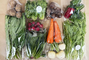 y엿ER͔|z{̂؁Eʕ̂CZbgiMZbgjʂ˂AWKCAlQAc؁AINAcTLAɂɂAs[}AhqA֎qACQATc}C