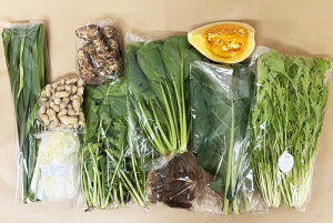 y엿ER͔|z{̂؁Eʕ̂CZbgiMZbgjʂ˂AWKCAlQAc؁Aɂɂ̗tATc}CA؁AeA؁A`Q؁A؁AA卪