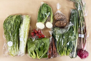 y엿ER͔|z{̂؁Eʕ̂CZbgiMZbgjʂ˂AWKCAlQAc؁Aɂɂ̗tATc}CA؁AeA؁A`Q؁A؁AA卪