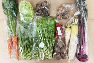 �y���엿�E���R�͔|�z�{�̂���؁E�ʕ��̂��C���Z�b�g�iM�Z�b�g�j�ʂ˂��A�W���K�C���A�l�Q�A�ɂ�ɂ��̗t�A�T�c�}�C���A�e���A�����؁A�`���Q���؁A���؁A�e�؁A�����A�卪�A�����ԁA