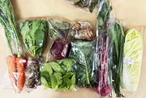 �y���엿�E���R�͔|�z�{�̂���؁E�ʕ��̂��C���Z�b�g�iM�Z�b�g�j�ʂ˂��A�W���K�C���A�l�Q�A�ɂ�ɂ��̗t�A�T�c�}�C���A�e���A�����؁A�`���Q���؁A���؁A�e�؁A�����A�卪�A�����ԁA