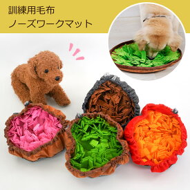 楽天市場 犬 えさ 収納の通販