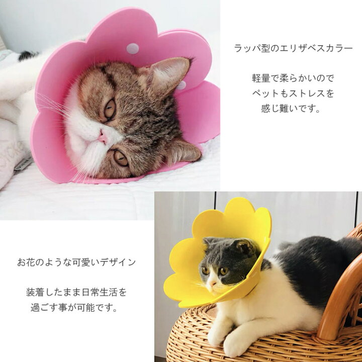 ピンク Mサイズ　エリザベスカラー 花　ペット　犬 猫 兼用　術後　介護用