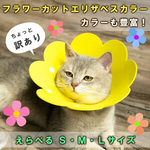 y󂠂zGUxXJ[ \tg y L  _炩 p PA ybg pi  Bi ԕi  s S M L TCY Iׂ t[   {^ nEB 