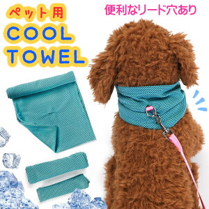 ݌ Z[ SALE ybg N[ ^I p Ђ  U  ⊴ M ΍  L ۗ   [h  ₽ C TCY S M L  Lk K ȒP N` 