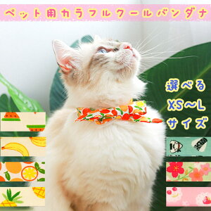 Bi 󂠂 ݌Ɍ ybg N[ o_i { Jt p Ђ lbN N[[ U  ⊴ M  L ۗ  ACX|}[  ȒP IV  fUC ʕ 