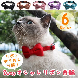 ybg  `[J[ 2way  { IV   ^b` L  ˂ lR cat т  L[g `[  t[ TCY O nEB 