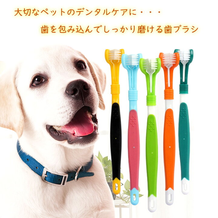 犬猫用 ハブラシ 2個セット 歯ブラシ 猫 犬 シリコン製 はぶらし