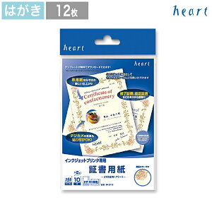 y݌Ɍ 50%OFFz ؏p ؏ ynKLz t[ 12 CNWFbgv^[p yAEgbg z