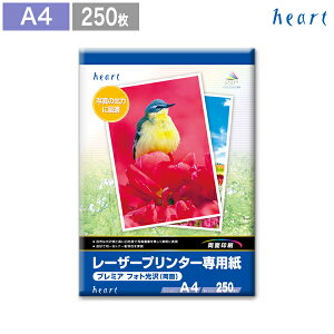 A4p yv~AtHgz 250 [U[v^[p [U[p p Rs[p v^[p ʐ^p  ʐ^ p