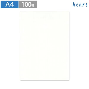 A4 Ap ARV Xm[zCg 100 ē A  A4p