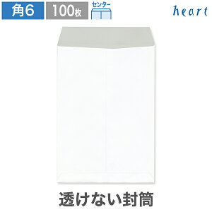 p6 Ȃ pXezCg 80g Z^[\ 100  A5 p6 p`6  n l @ vCoV[ی