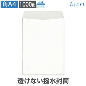 pA4 Ȃ  100g R\ 1000 |XgCzTCY  A4 p`A4  zCg  z z n ͂ e