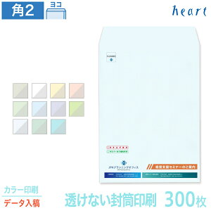   p2 Ȃ pXeJ[ 100g 300 J[ Sf[^e  A4 p`2   IWiyz