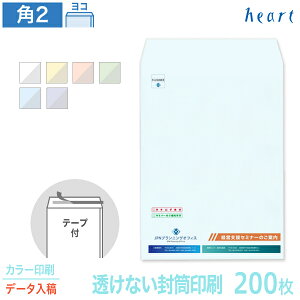   p2 Ȃ pXeJ[ 100g 200 e[vt J[ Sf[^e  A4 p`2   IWi t \₷yz