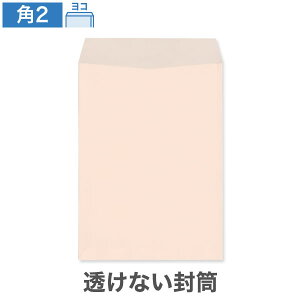 p2 Ȃ pXeJ[ 100g R\ 500 pXe A4 p2 p`2 A4 n l @ vCoV[ی