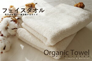 y7{̋źIztFCX^IizedljLiyI[KjbNRbg100zxgi 34×85 Y F u Y I[KjbNF؎擾 Mtg v[g SS 