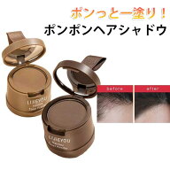 ポンポンヘアシャドウ ヘアファンデーション パフ付き 白髪隠し 薄毛隠し ヘアパウダー ヘアシャドウ で…