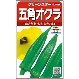 オクラ 種 実咲野菜 五角オクラ 1袋 家庭菜園 園芸 TATOYA ガーデニング